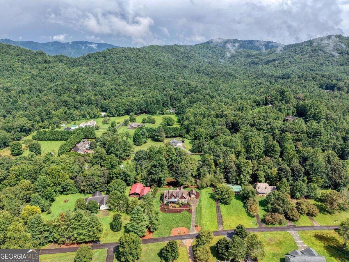 2171 Big Pine Drive Hiawassee - 49