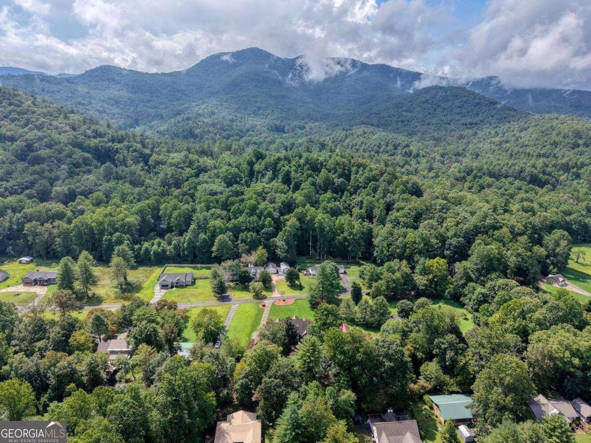 2171 Big Pine Drive Hiawassee - 51