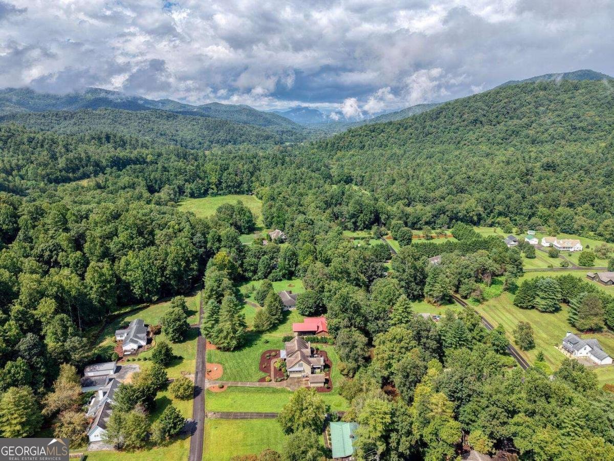 2171 Big Pine Drive Hiawassee - 53