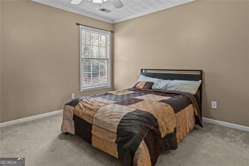 168 Jersey Road Oxford - 22