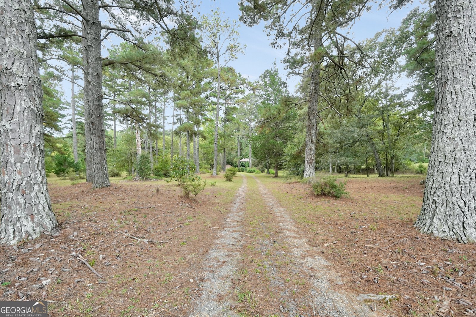 196 Jackson Lake Inn Road Jackson - 40