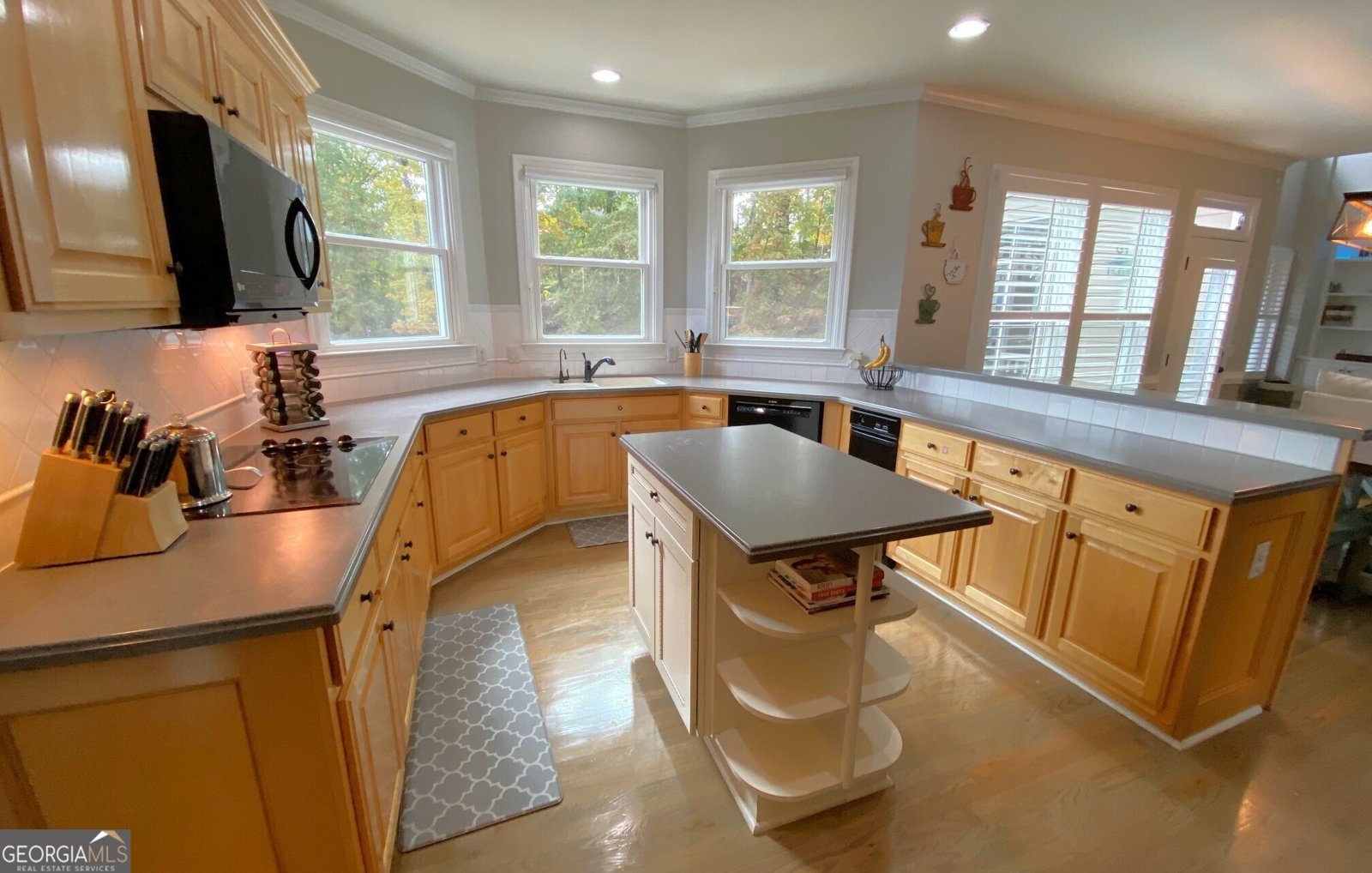 644 Gold Valley Pass Canton - 8