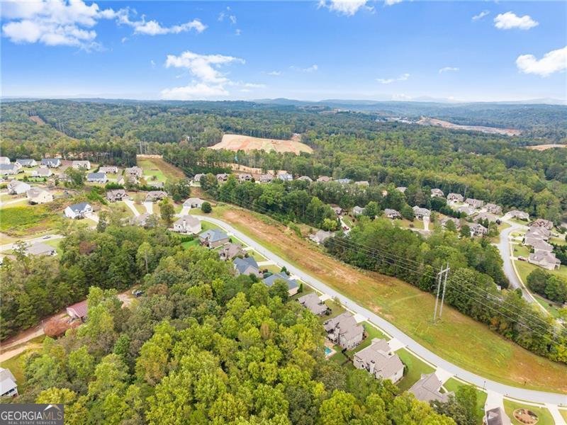 417 Tom Avery Drive Ball Ground - 46