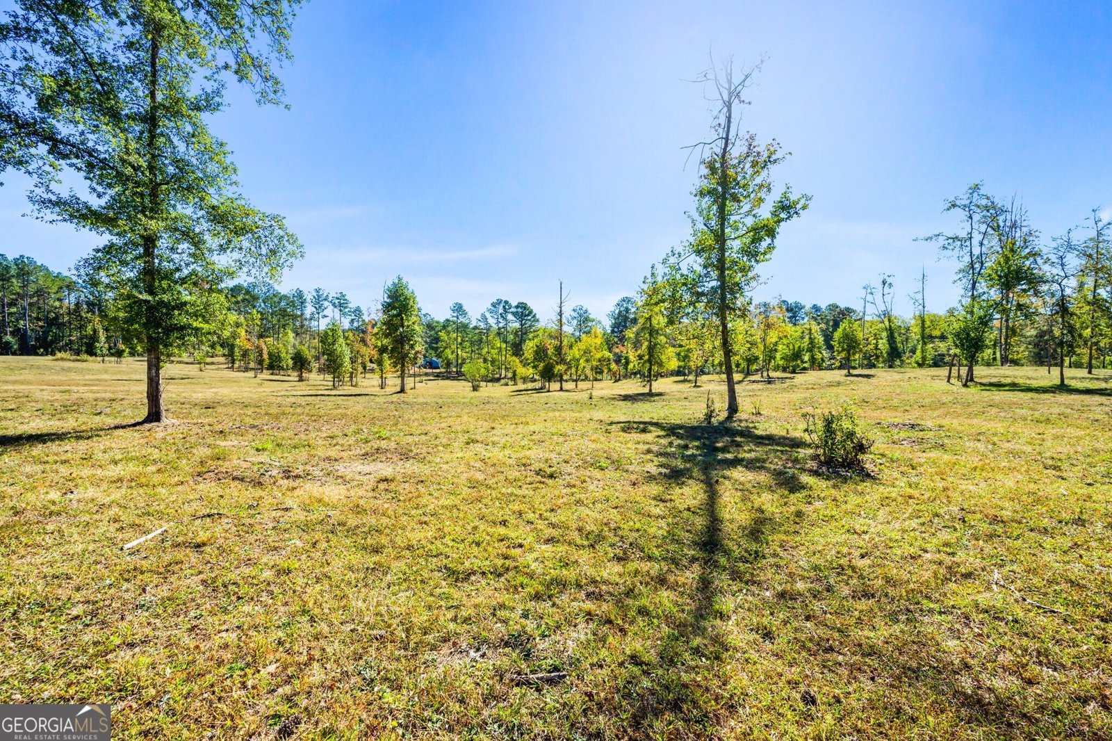 1189 Paul Harris Road Dallas - 15