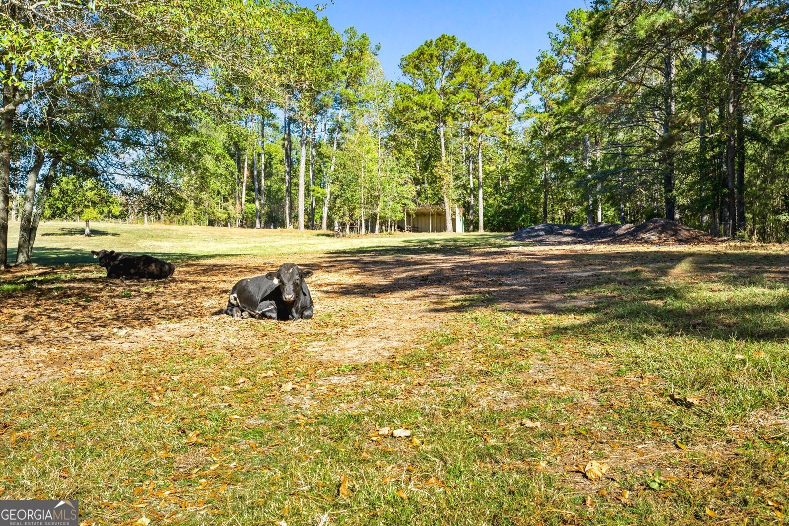 1189 Paul Harris Road Dallas - 23