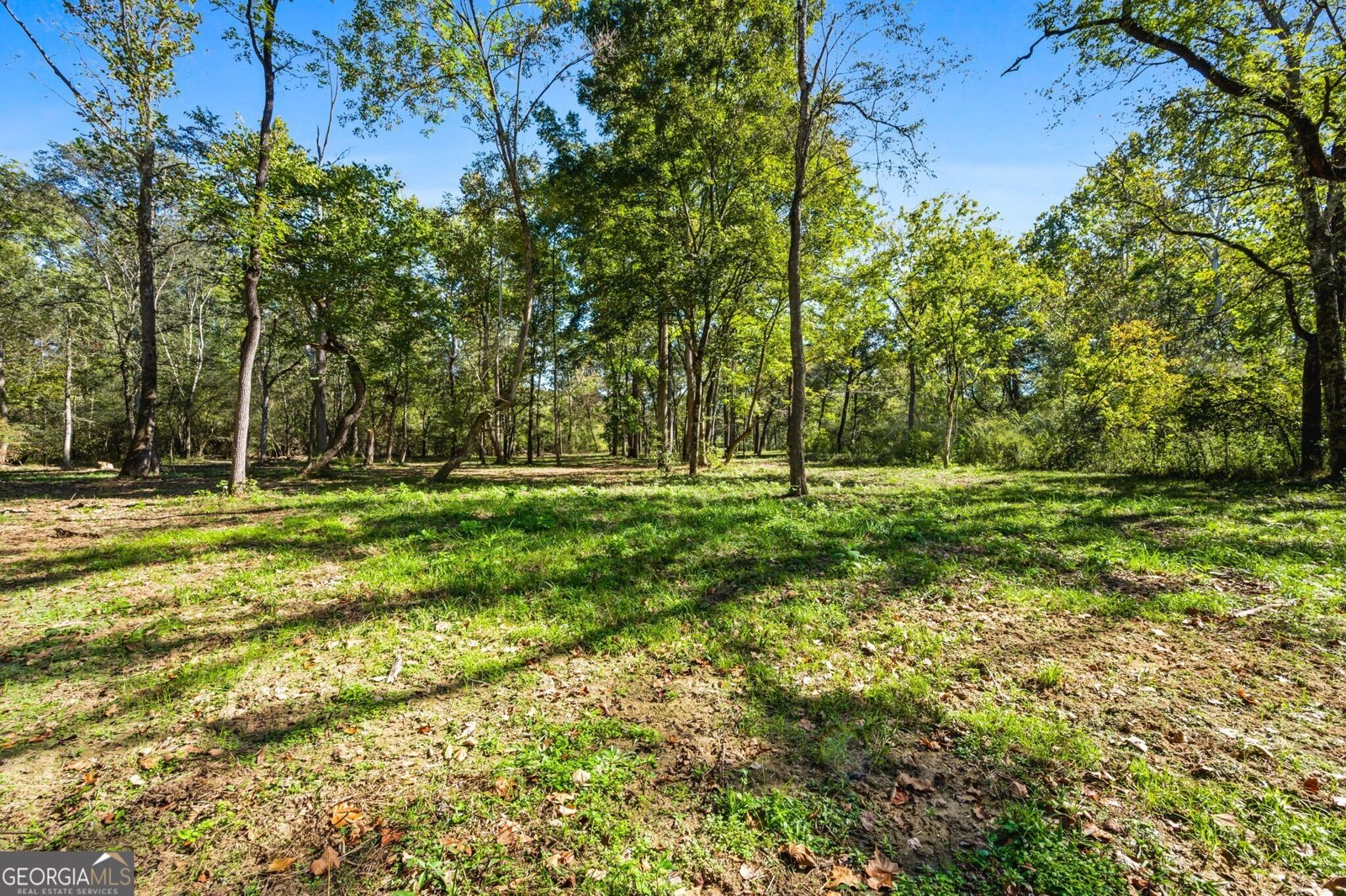 1189 Paul Harris Road Dallas - 29