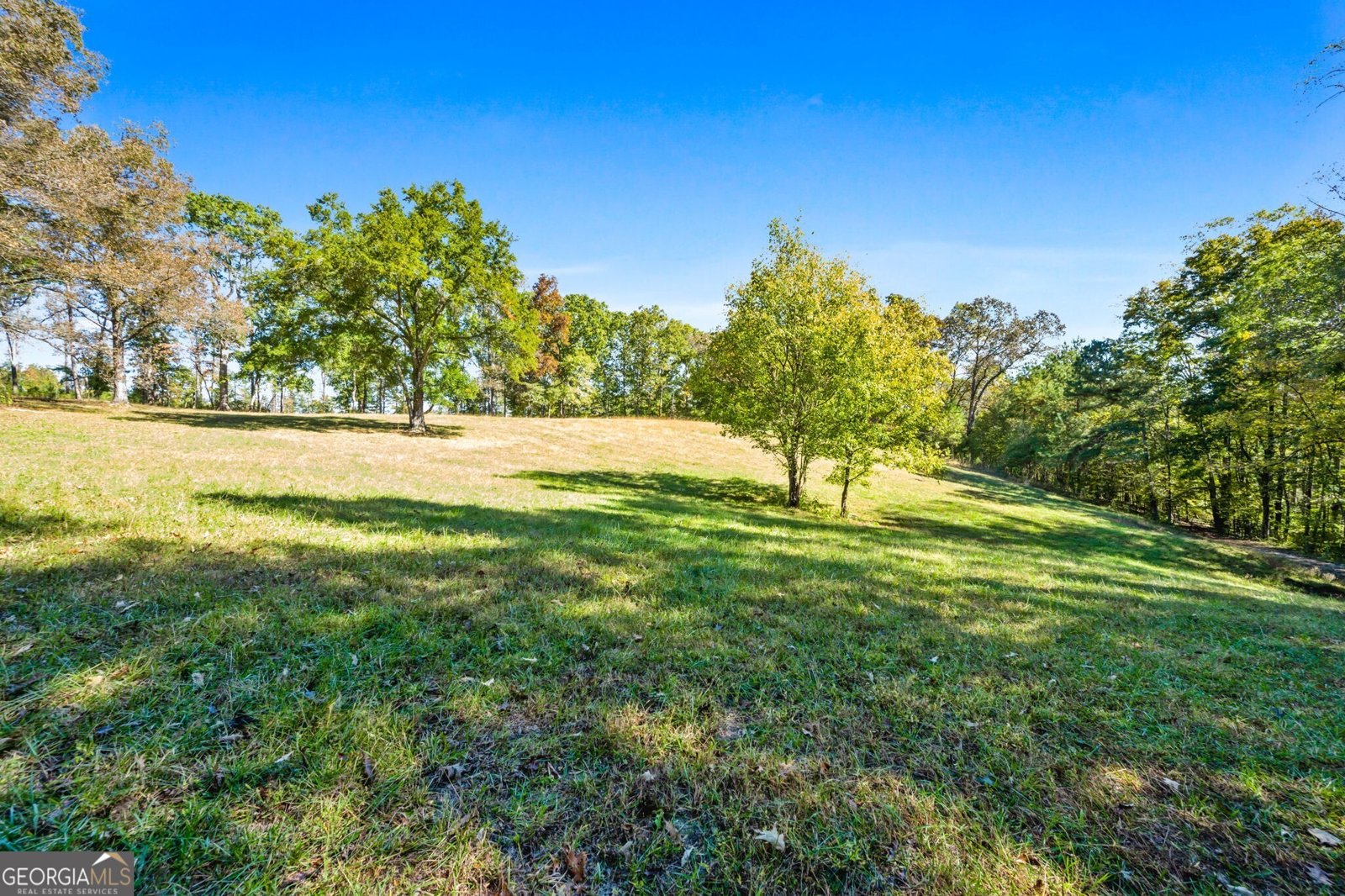 1189 Paul Harris Road Dallas - 30