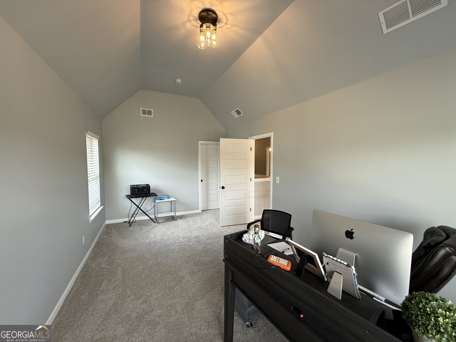310 Savannah Drive Senoia - 22