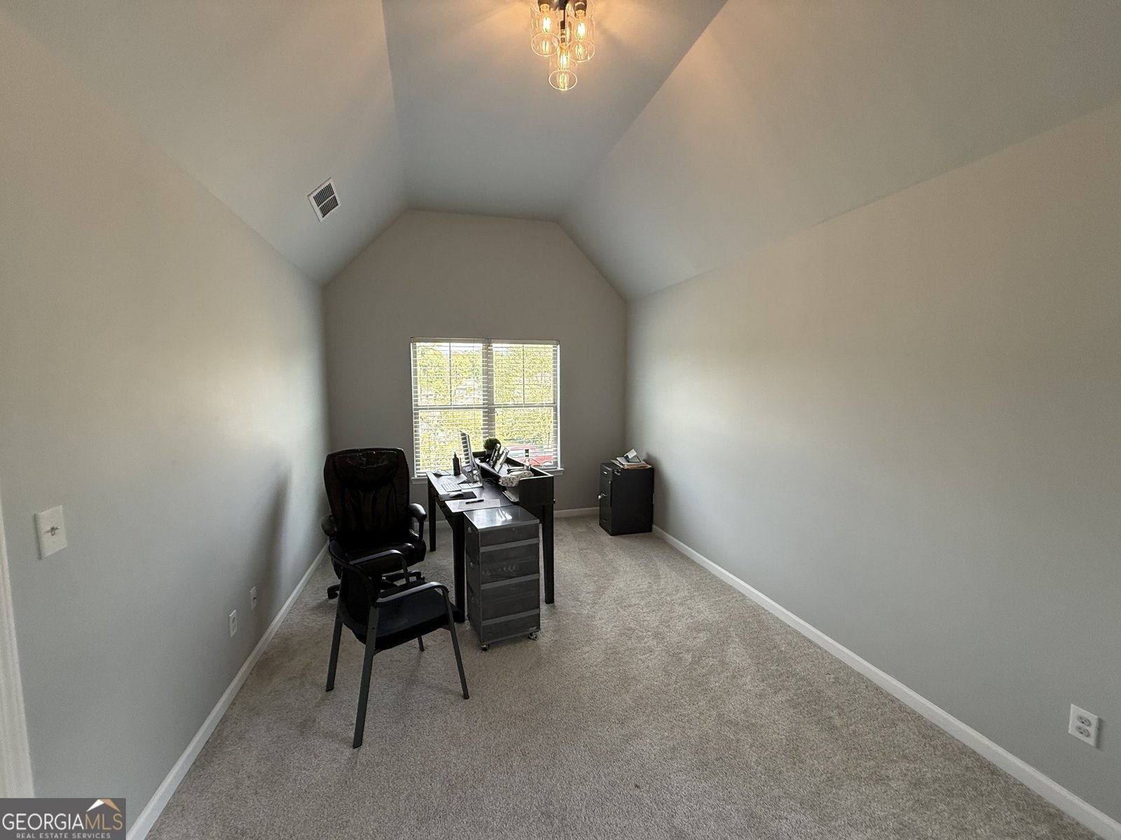 310 Savannah Drive Senoia - 23