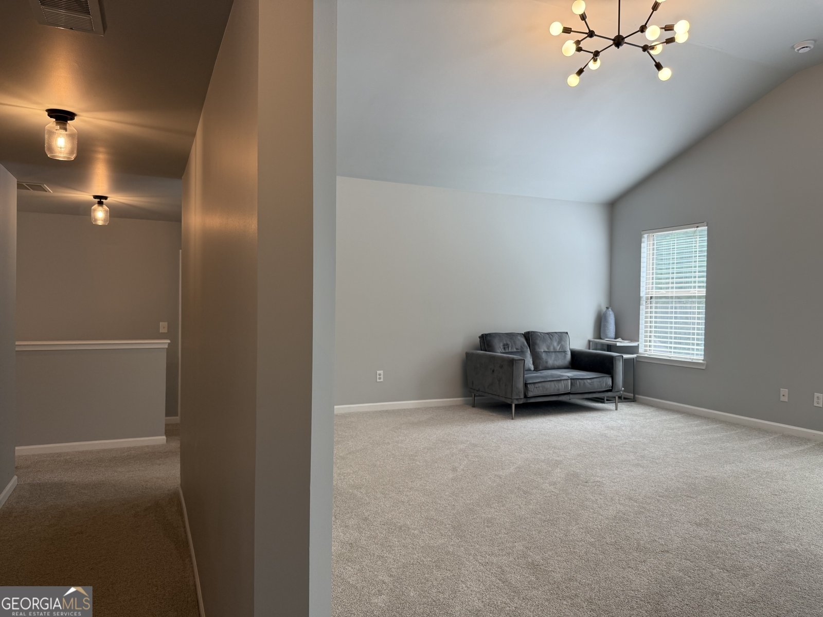 310 Savannah Drive Senoia - 24