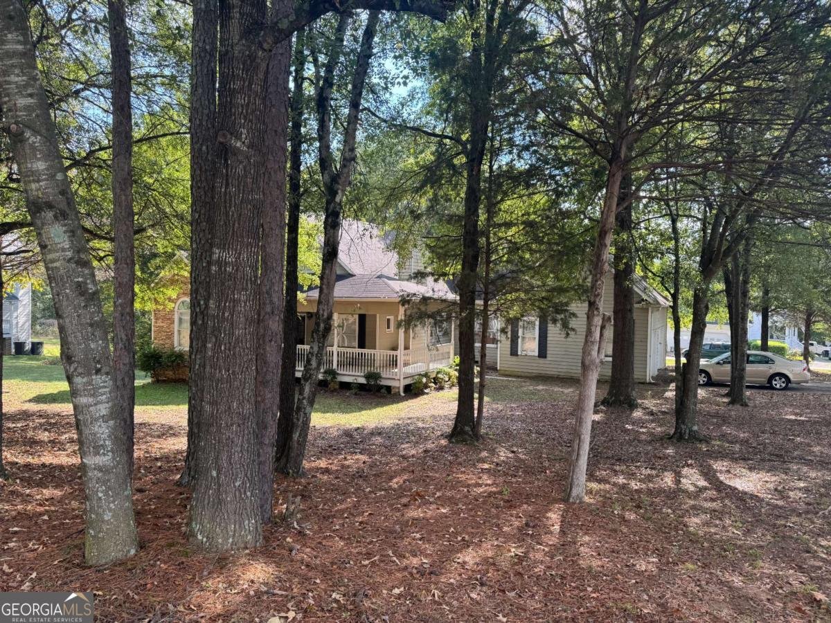 11 Honeylocust Court Cartersville - 3