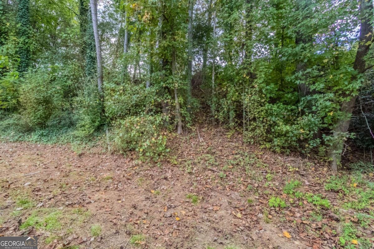 6593 Pole Creek Drive Lithonia - 30