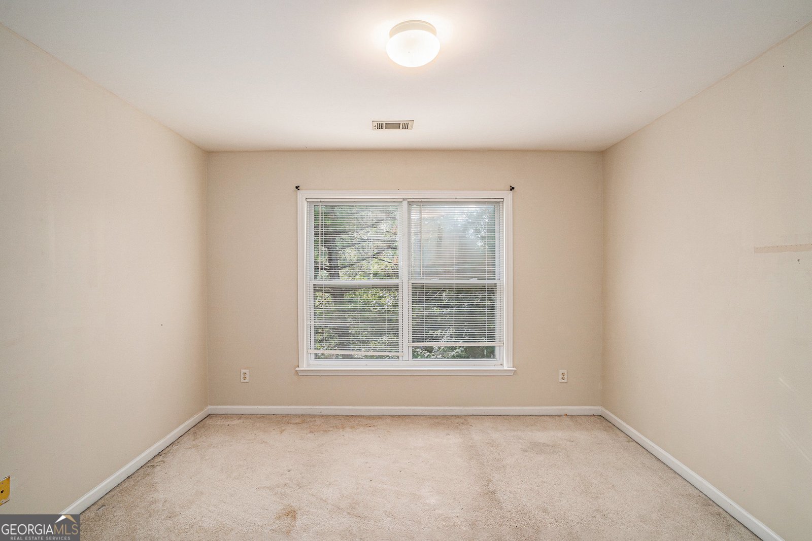 1245 Ethans Way McDonough - 29