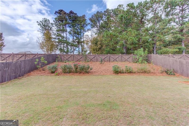 274 Brighton Park Circle Hoschton - 4