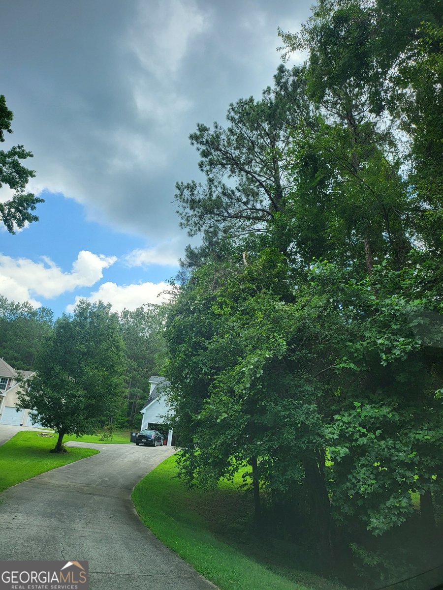 3939 Craggy Perch Douglasville - 4