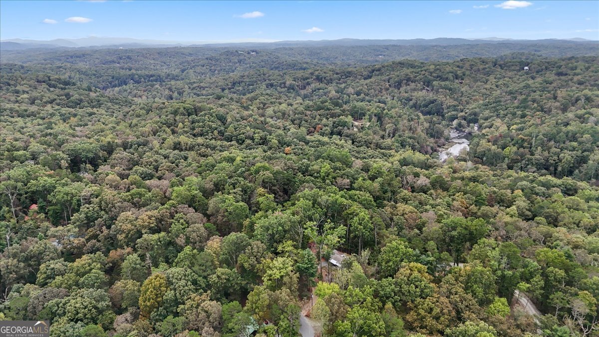253 Zenith Trail Ellijay - 15