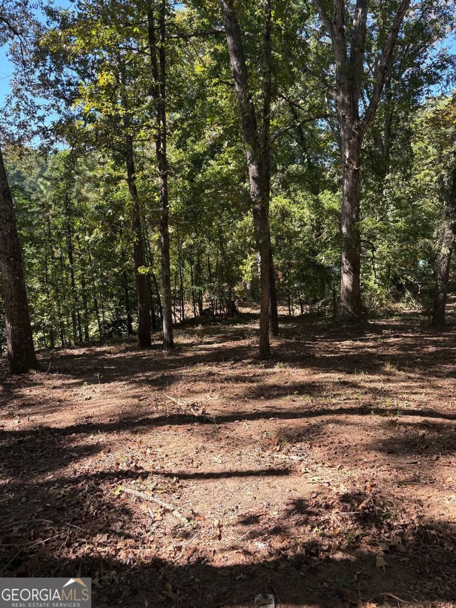 3191 Wallace Douglasville - 11