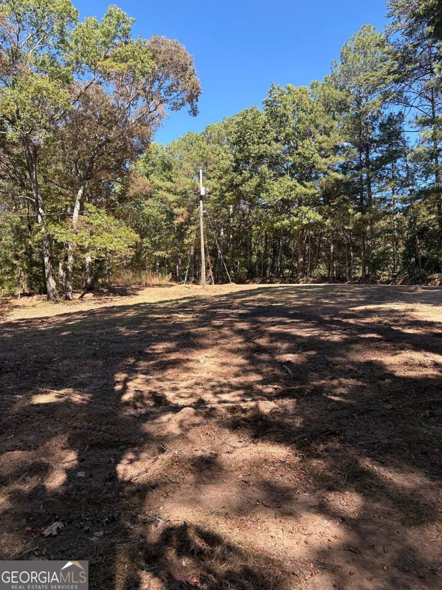 3191 Wallace Douglasville - 12