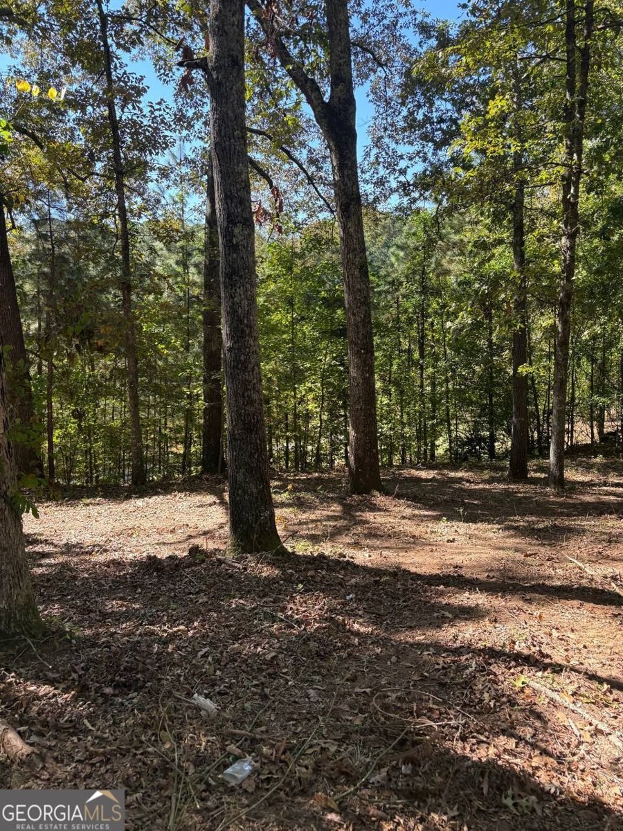 3191 Wallace Douglasville - 13