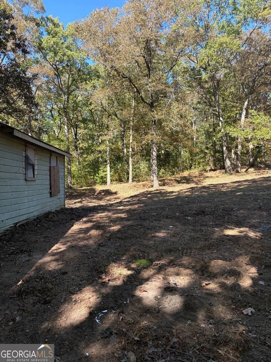 3191 Wallace Douglasville - 8