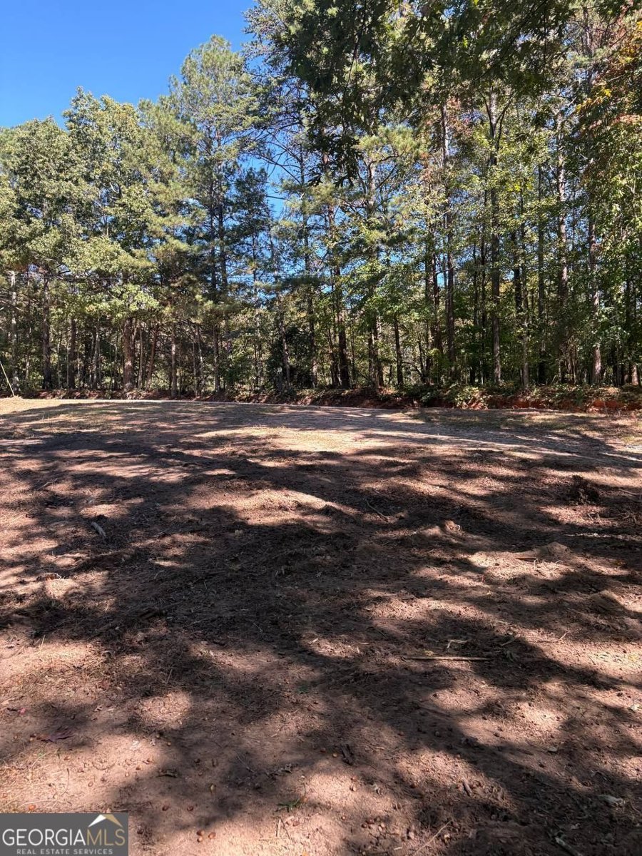 3191 Wallace Douglasville - 9