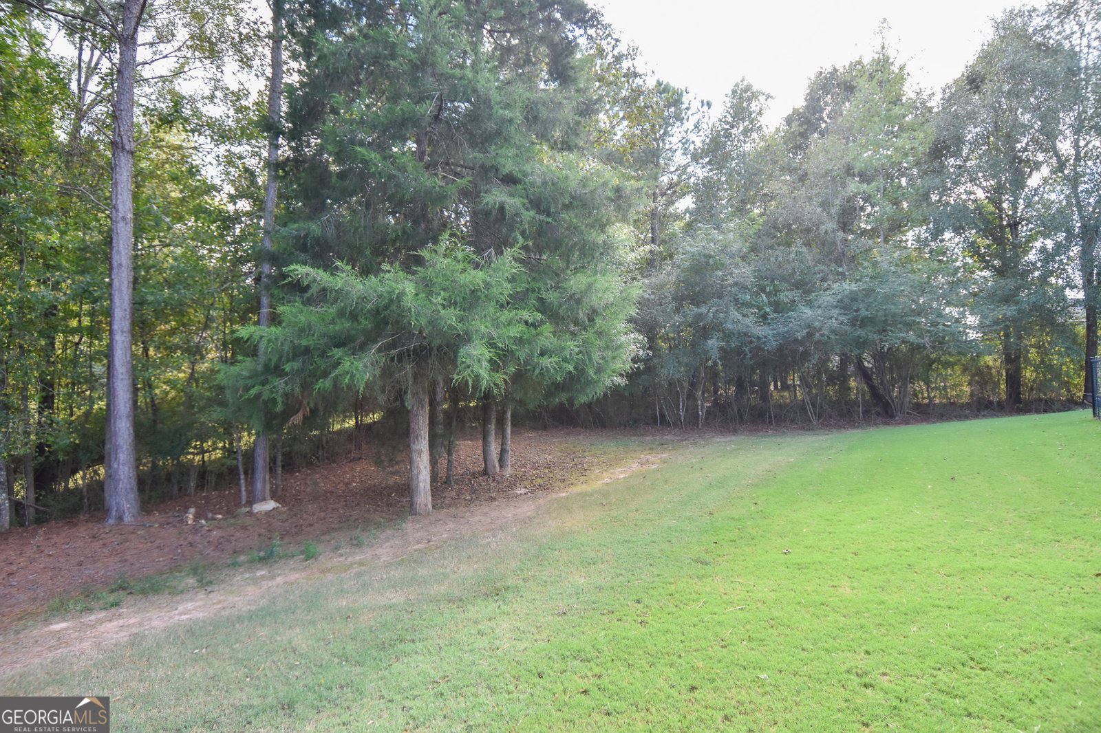 142 Magnolia Trace Milner - 84