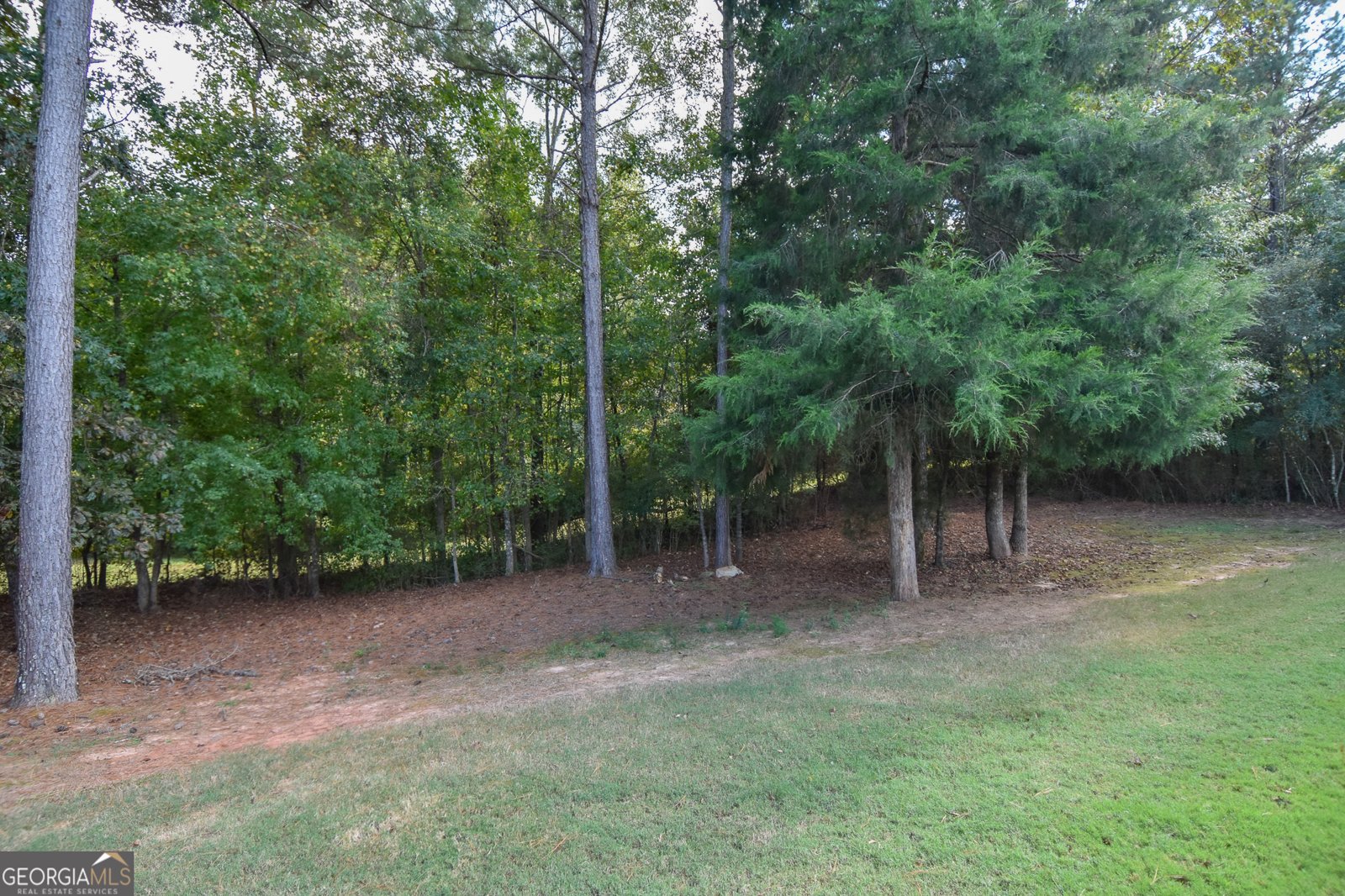 142 Magnolia Trace Milner - 85