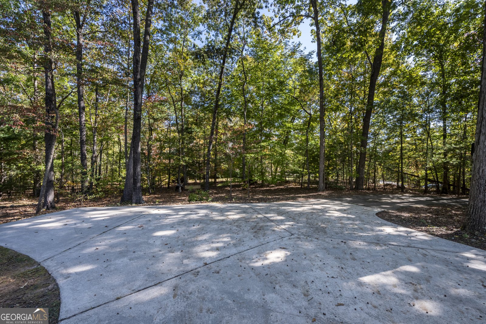 70 Goldenrod Overlook Dawsonville - 8