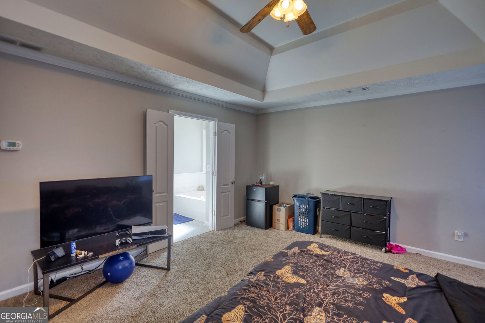 3206 Pate Creek View Snellville - 22