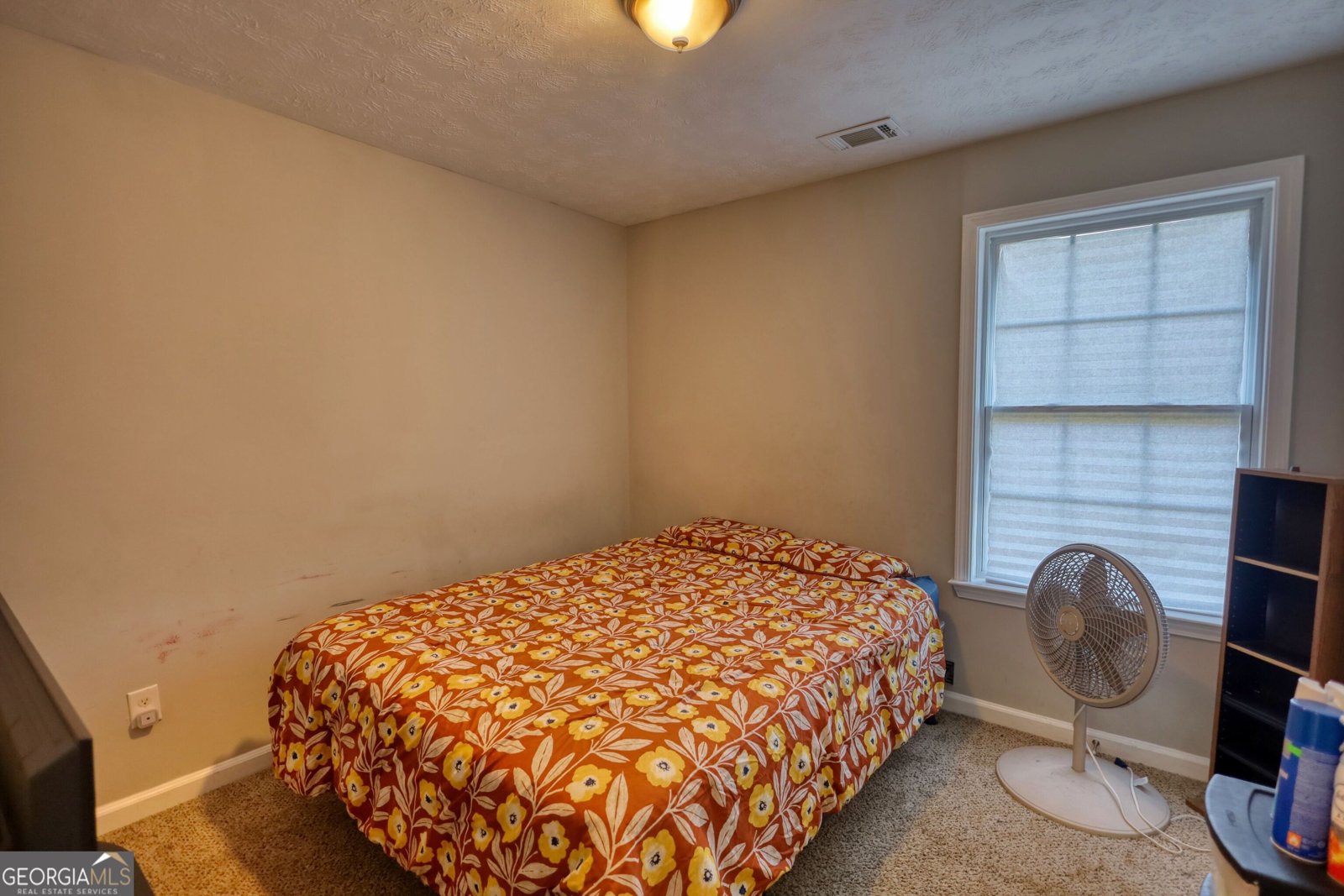 3206 Pate Creek View Snellville - 31