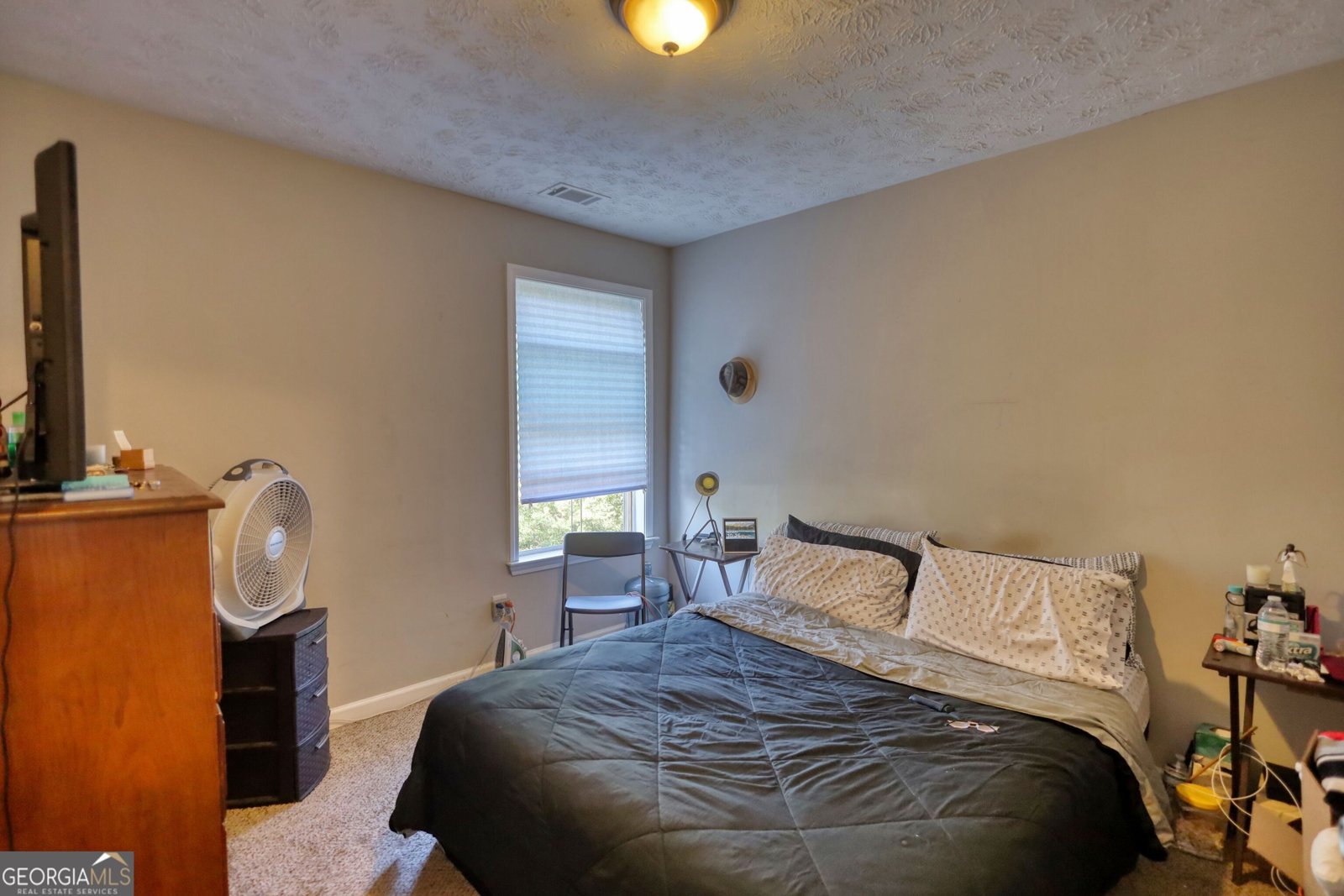 3206 Pate Creek View Snellville - 33