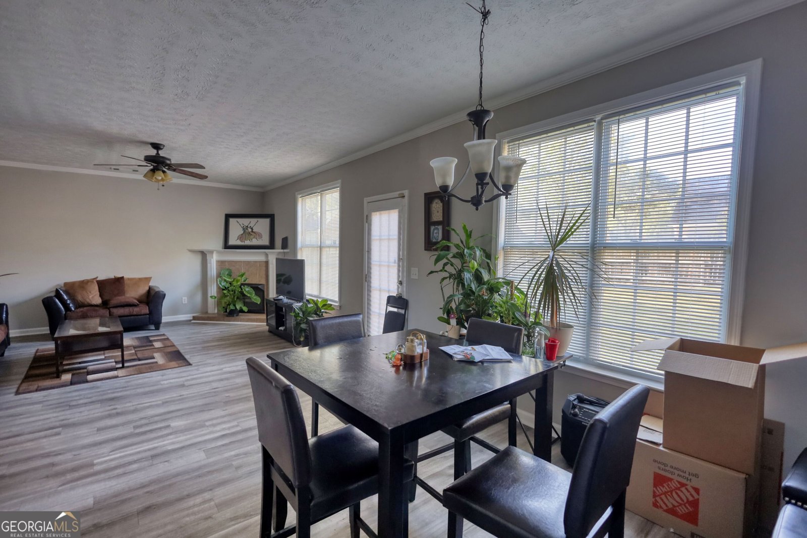 3206 Pate Creek View Snellville - 4