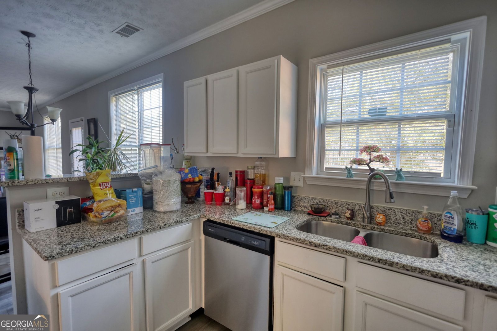 3206 Pate Creek View Snellville - 7