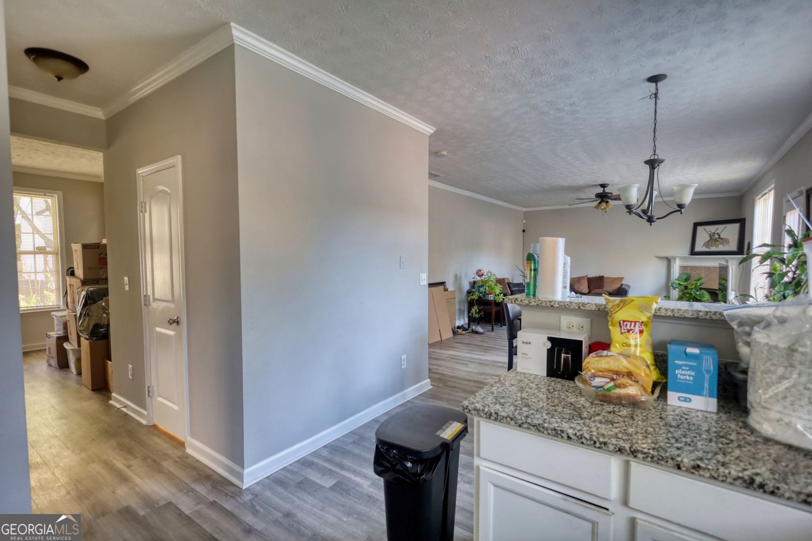 3206 Pate Creek View Snellville - 9