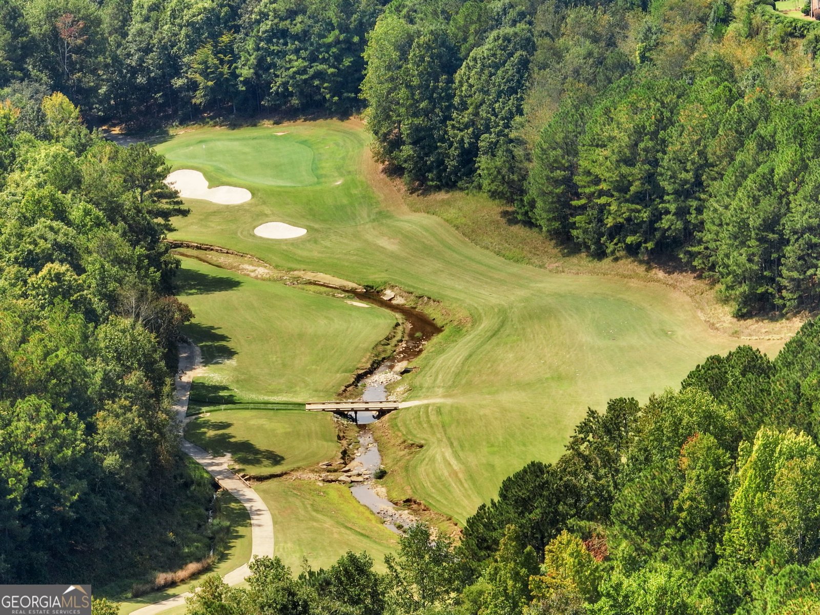 1415 Elgin Way Cumming - Photo 96