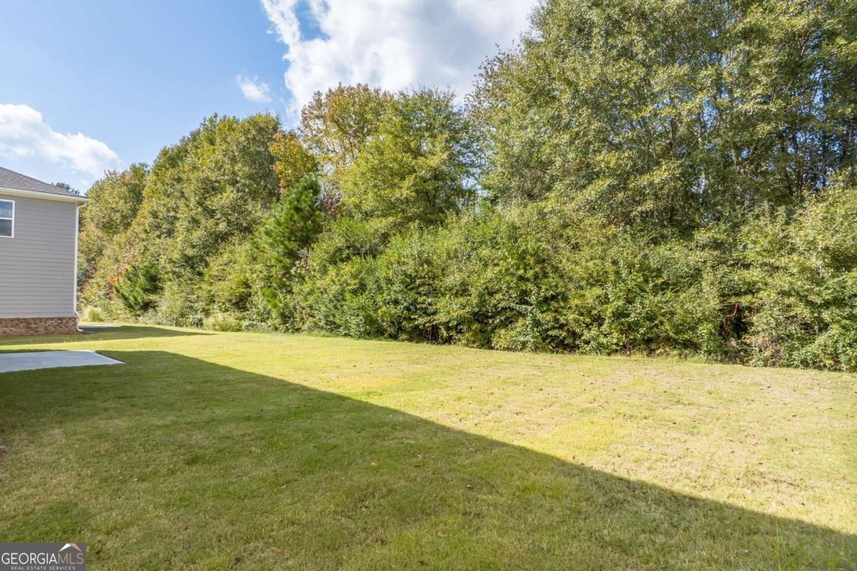 1649 Hay Patch Lane Loganville - 15