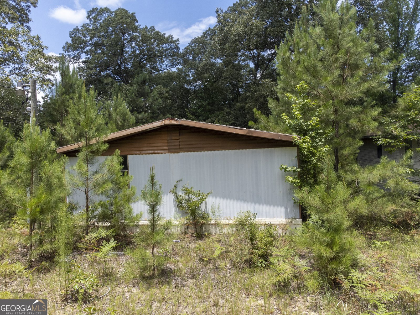 456 Horseshoe Circle Macon - 11