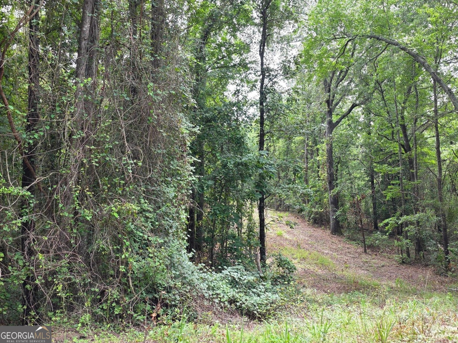 456 Horseshoe Circle Macon - 25