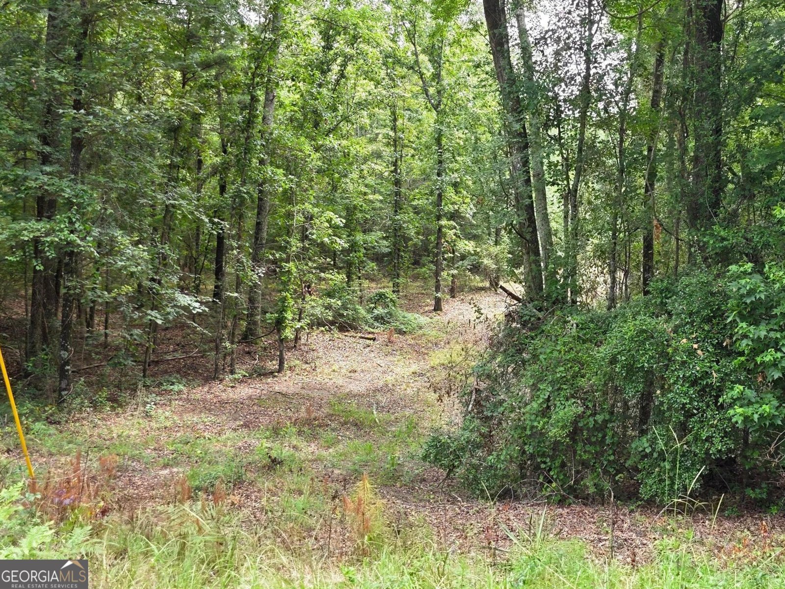 456 Horseshoe Circle Macon - 27