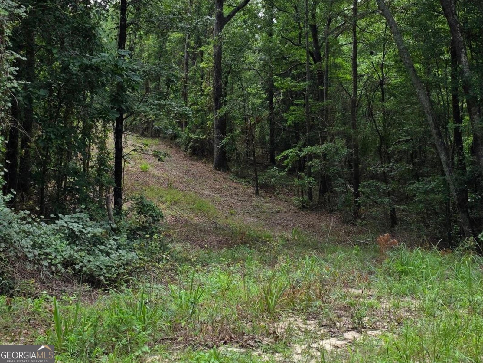 456 Horseshoe Circle Macon - 4