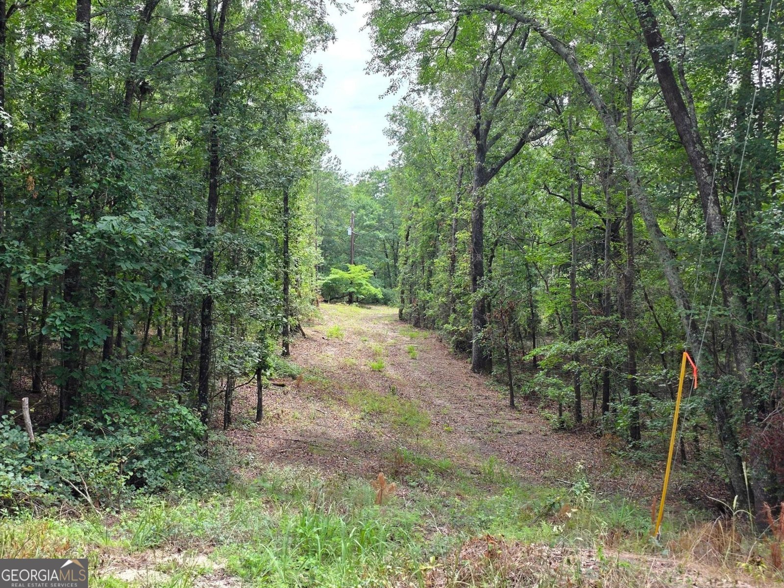 456 Horseshoe Circle Macon - 6