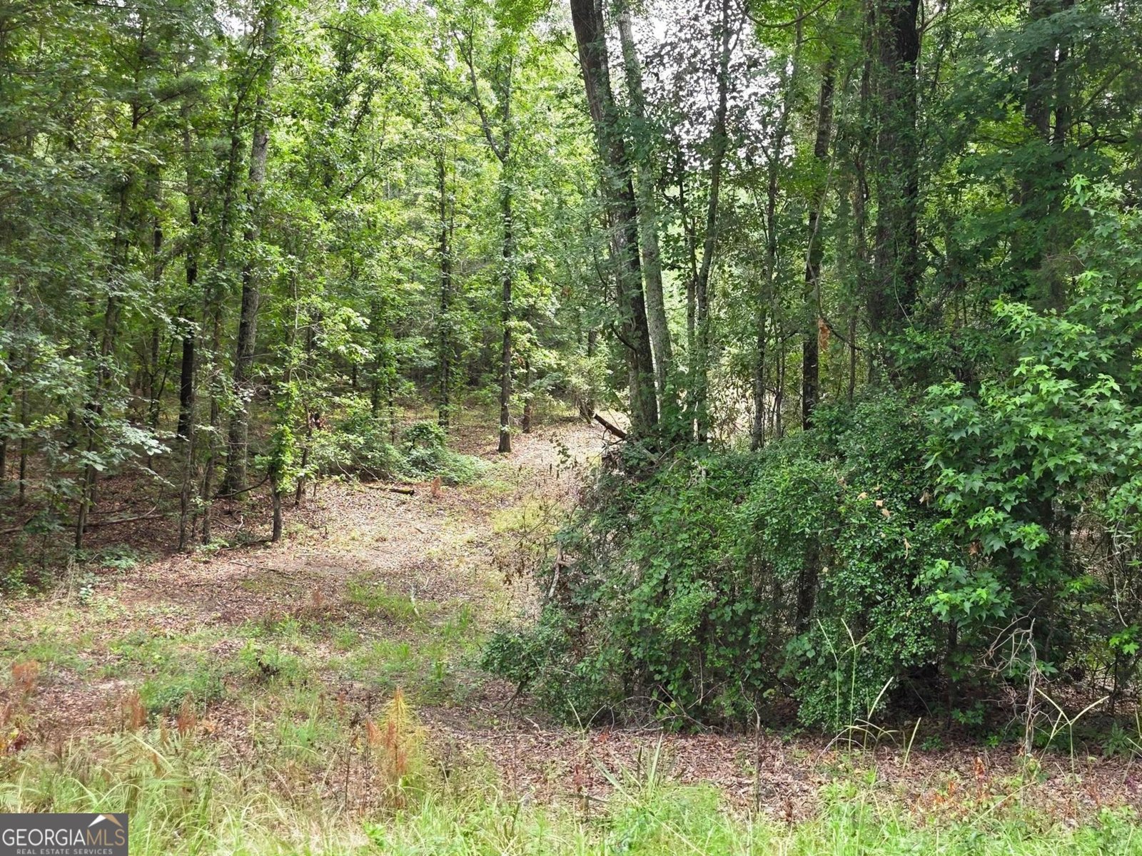 456 Horseshoe Circle Macon - 7