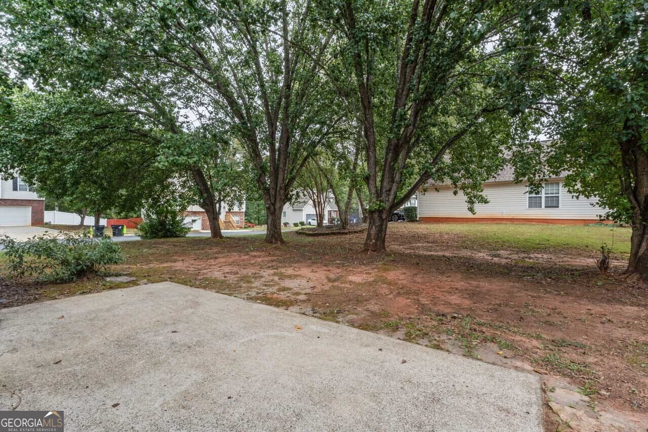 168 Vintage Trail McDonough - 20