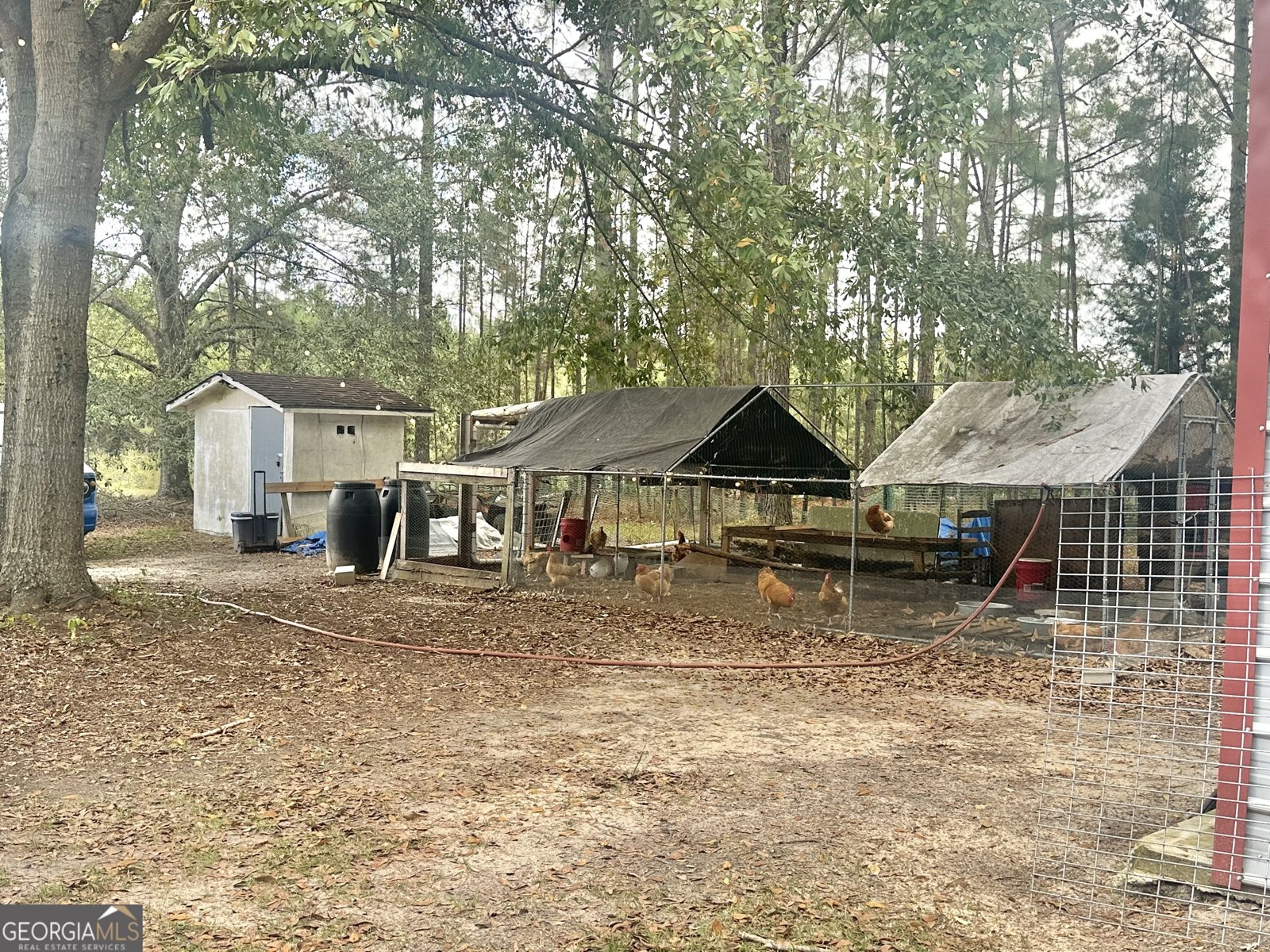 251 Bill Hambrick Road Eastman - 8