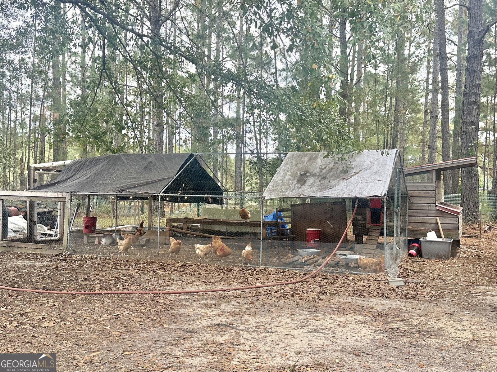 251 Bill Hambrick Road Eastman - 9