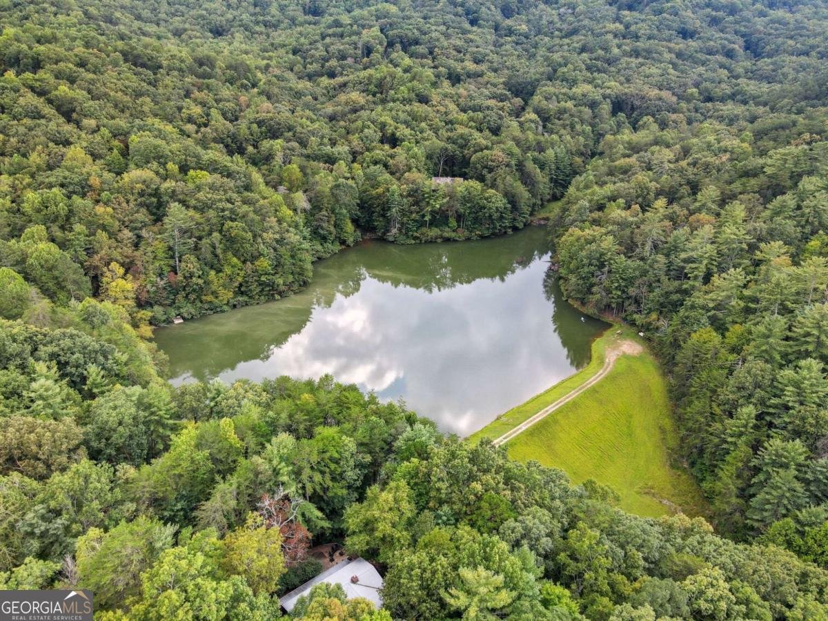 330 Skyview Drive Ellijay - 11