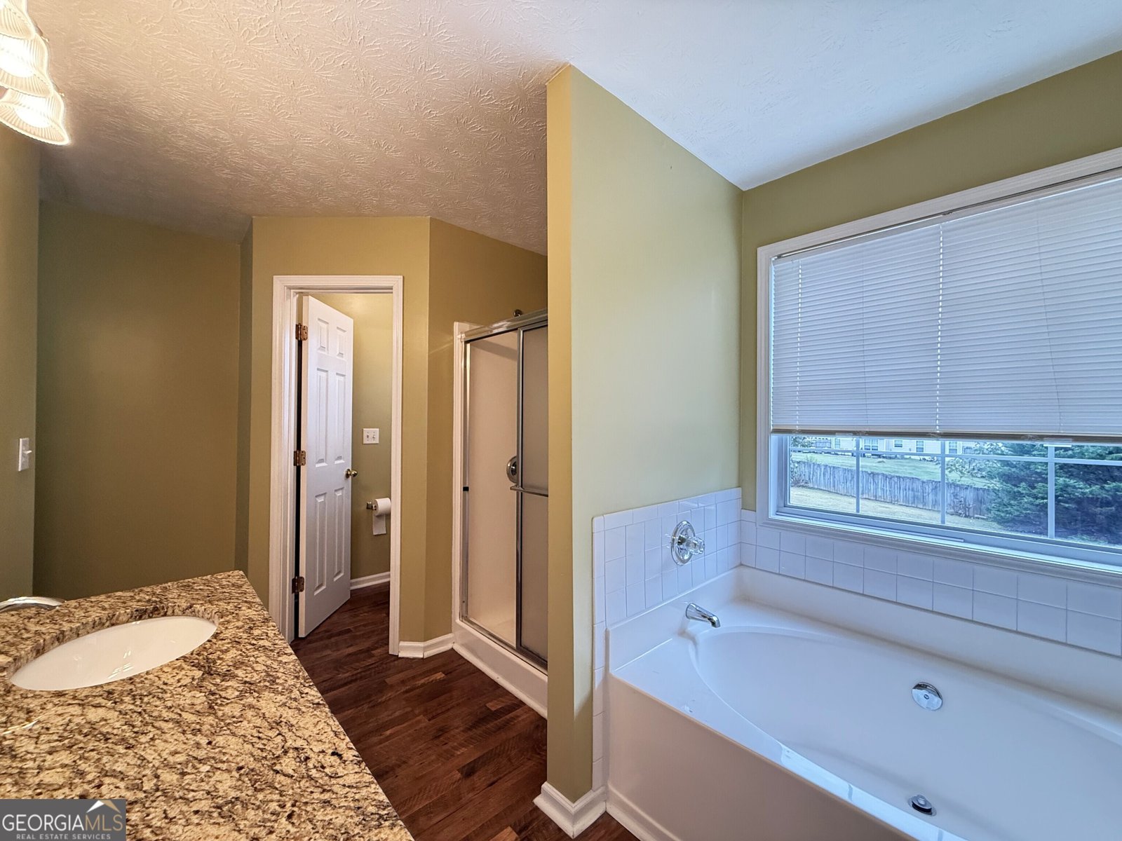 7235 Coral Lake Drive Flowery Branch - 29