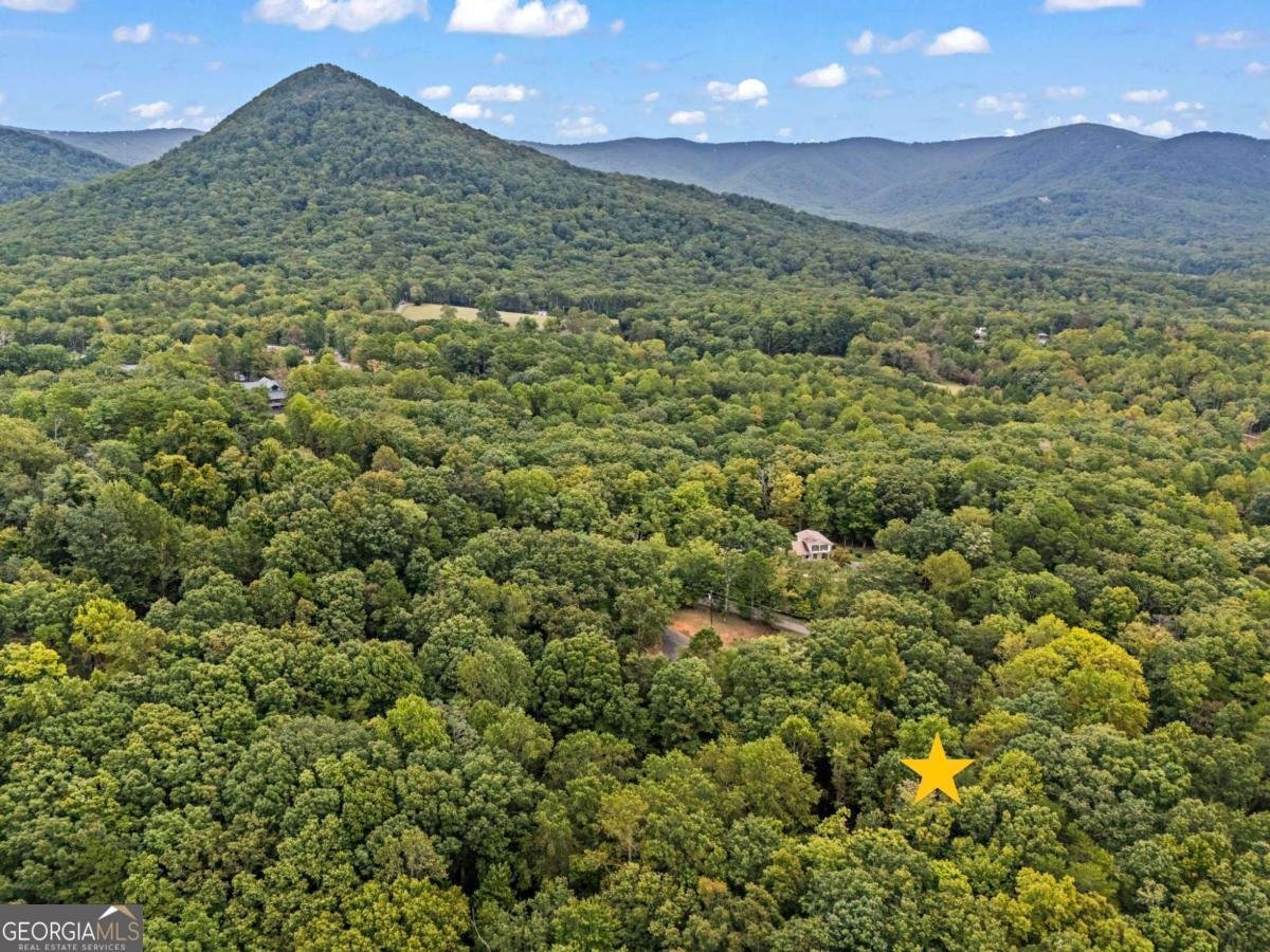 2043 Old Grandview Road Jasper - 25