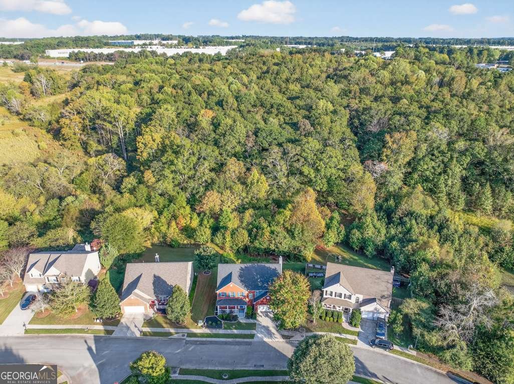 1086 New Liberty Way Braselton - 48
