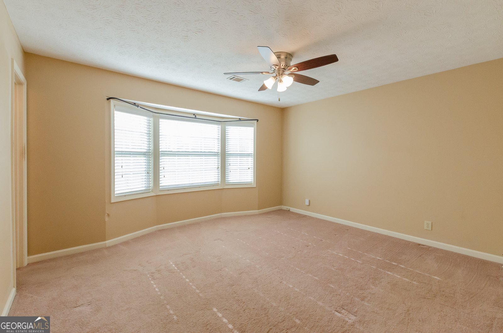 3119 Tadmore Court Dacula - 12